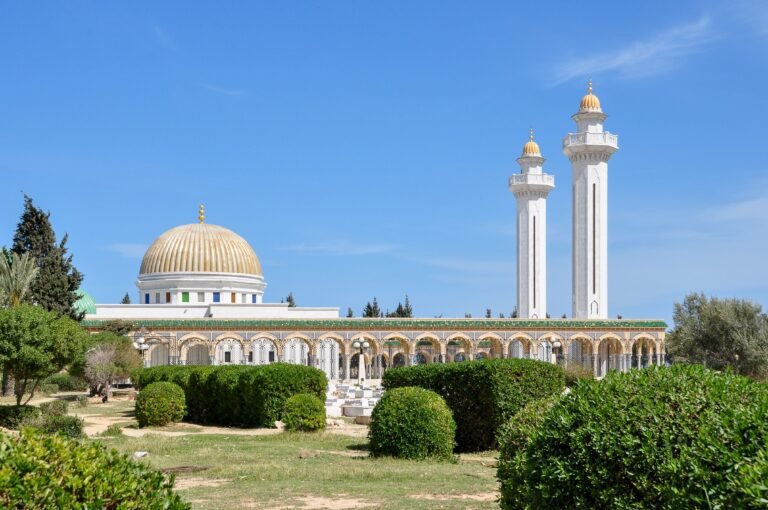Stunning view of a mosque with golden dome and minarets under a blue sky in Tunis, Tunisia.