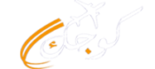 new logo